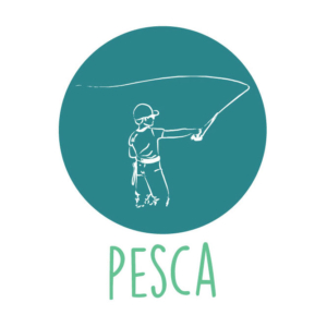 Pesca