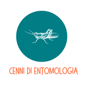 entomologia